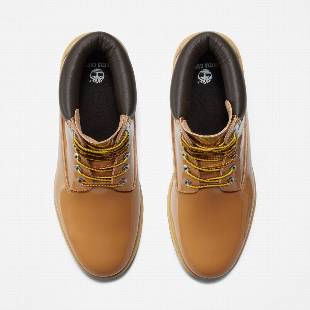 Dámské Zimní Boty Timberland Veneda Carter x Timberland® 6-Inch Lakovaná Leather Hnědé | TI72580-586