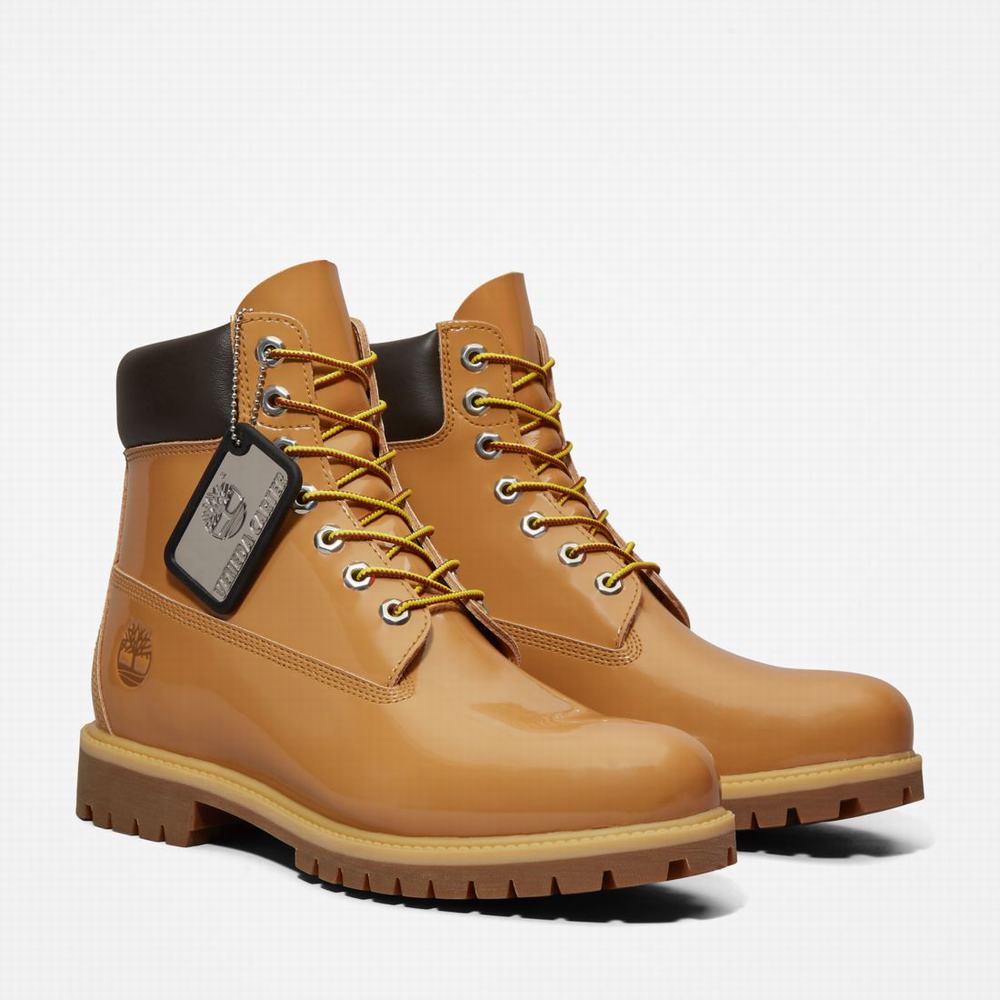 Dámské Zimní Boty Timberland Veneda Carter x Timberland® 6-Inch Lakovaná Leather Hnědé | TI72580-586