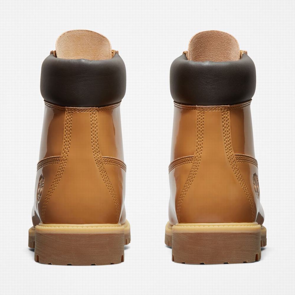 Dámské Zimní Boty Timberland Veneda Carter x Timberland® 6-Inch Lakovaná Leather Hnědé | TI72580-586