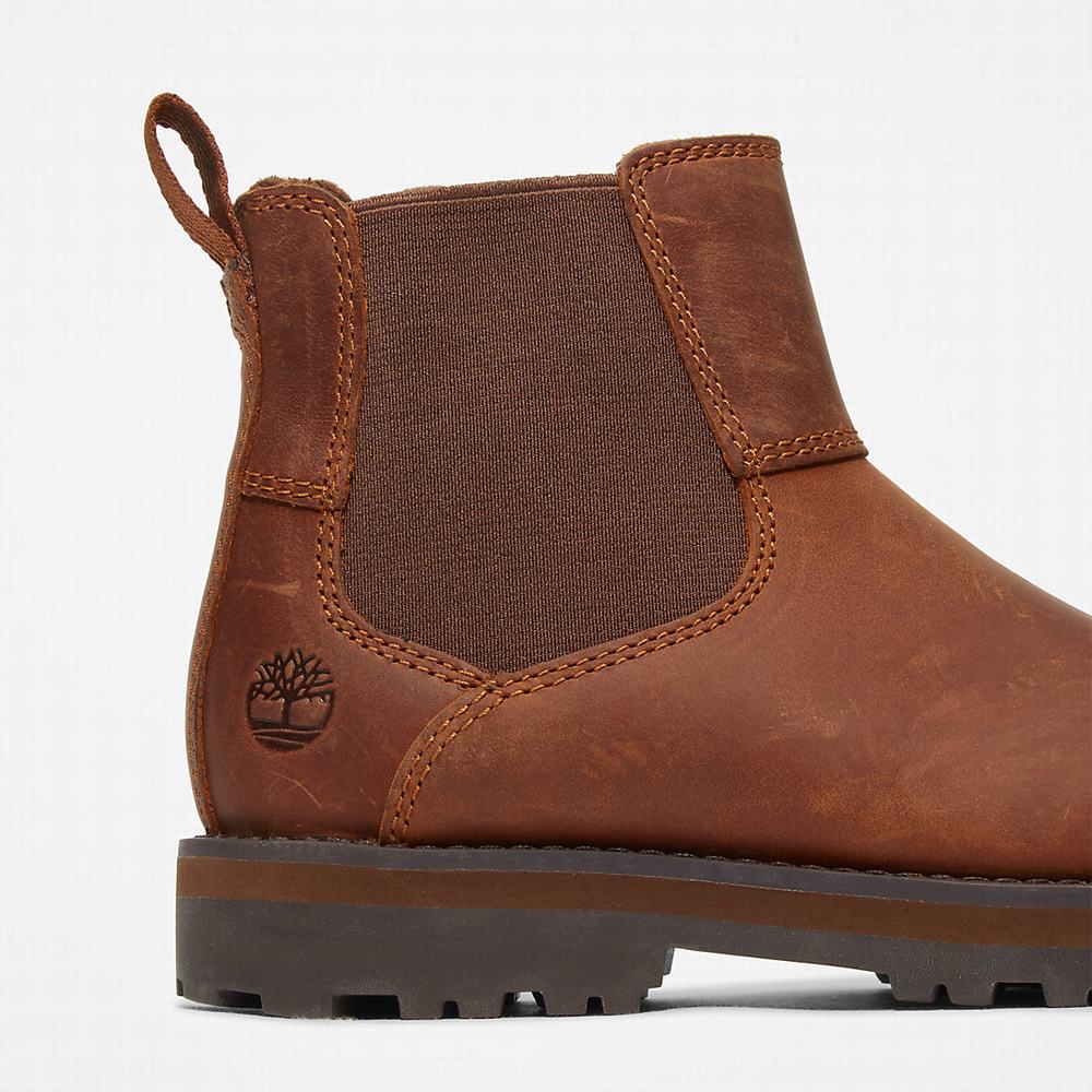 Dětské Kotníkové Boty Timberland Courma Hnědé | TI10489-390