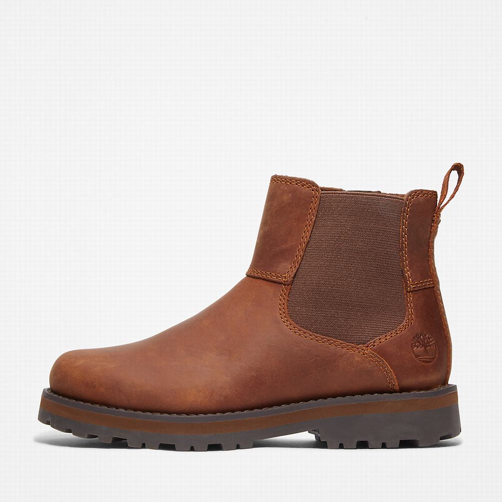 Dětské Kotníkové Boty Timberland Courma Hnědé | TI10489-390