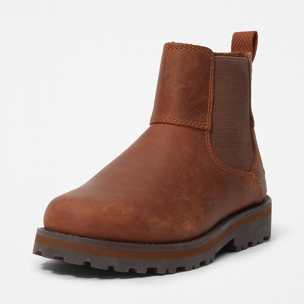 Dětské Kotníkové Boty Timberland Courma Hnědé | TI10489-390