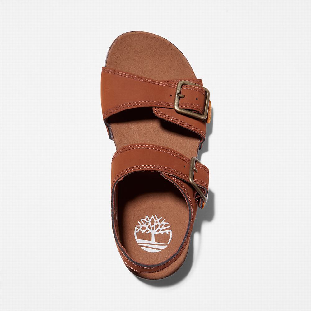Dětské Sandály Timberland Castle Island Backstrap Hnědé | TI03597-671