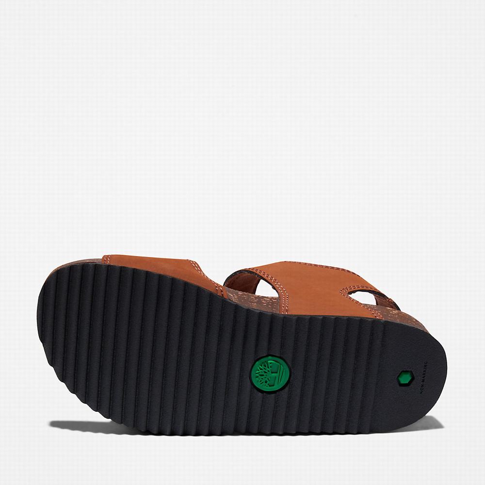 Dětské Sandály Timberland Castle Island Backstrap Hnědé | TI03597-671