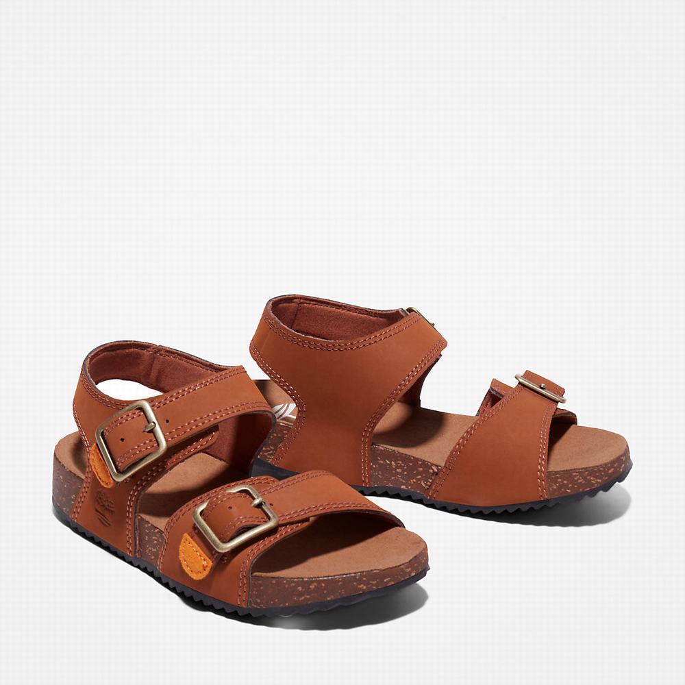 Dětské Sandály Timberland Castle Island Backstrap Hnědé | TI03597-671