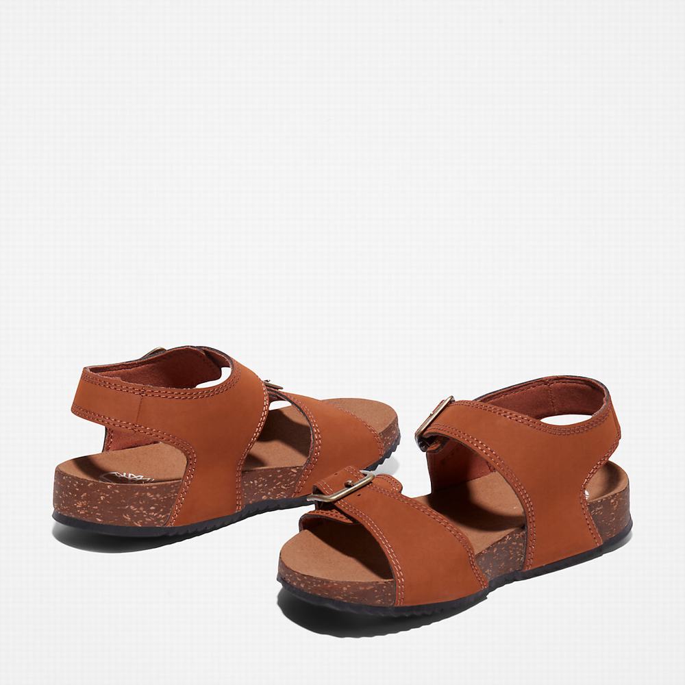 Dětské Sandály Timberland Castle Island Backstrap Hnědé | TI03597-671