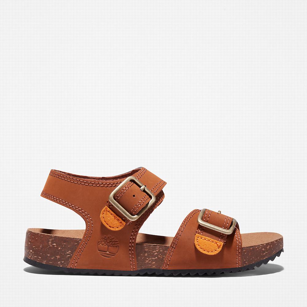 Dětské Sandály Timberland Castle Island Backstrap Hnědé | TI03597-671