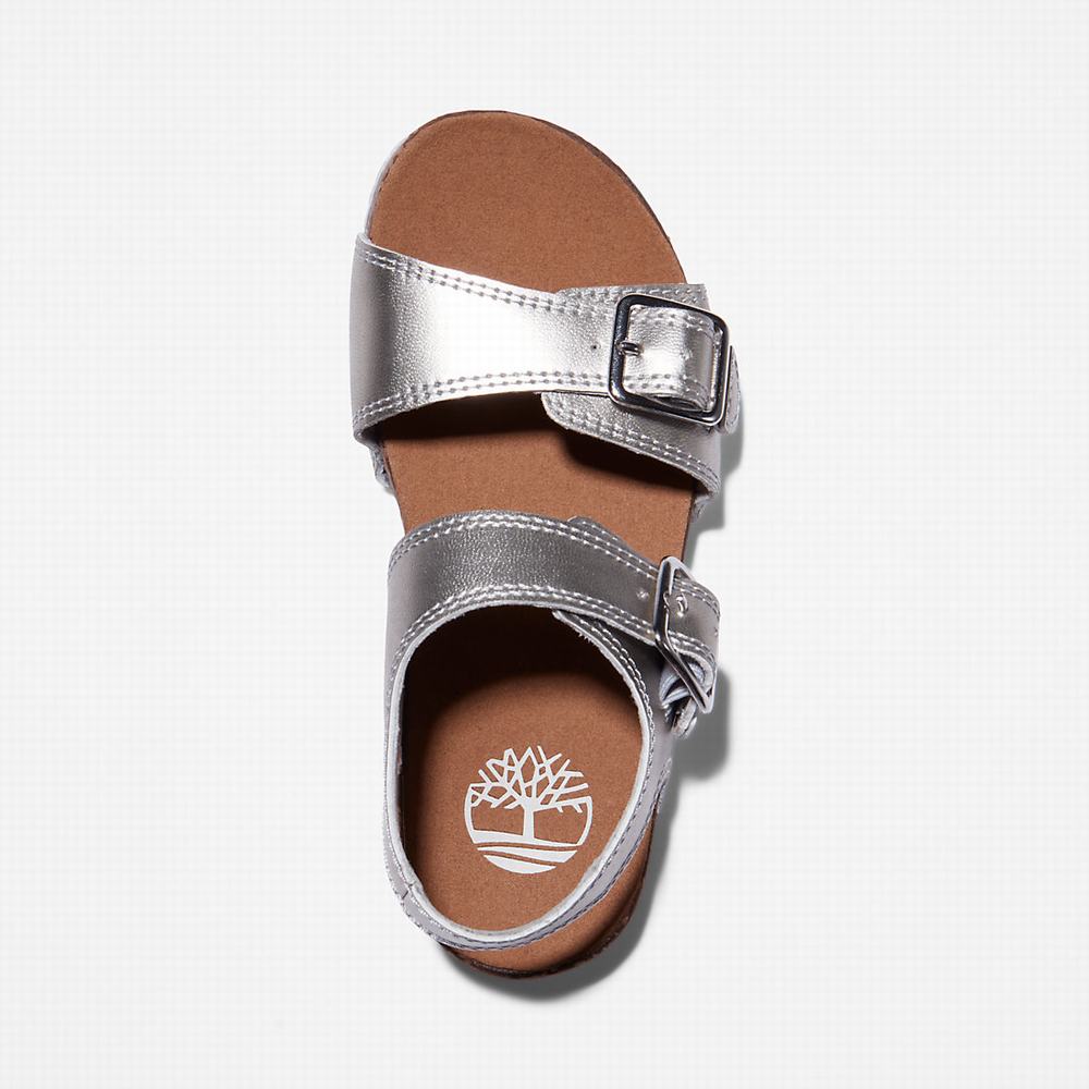 Dětské Sandály Timberland Castle Island Backstrap Stříbrné | TI83679-762