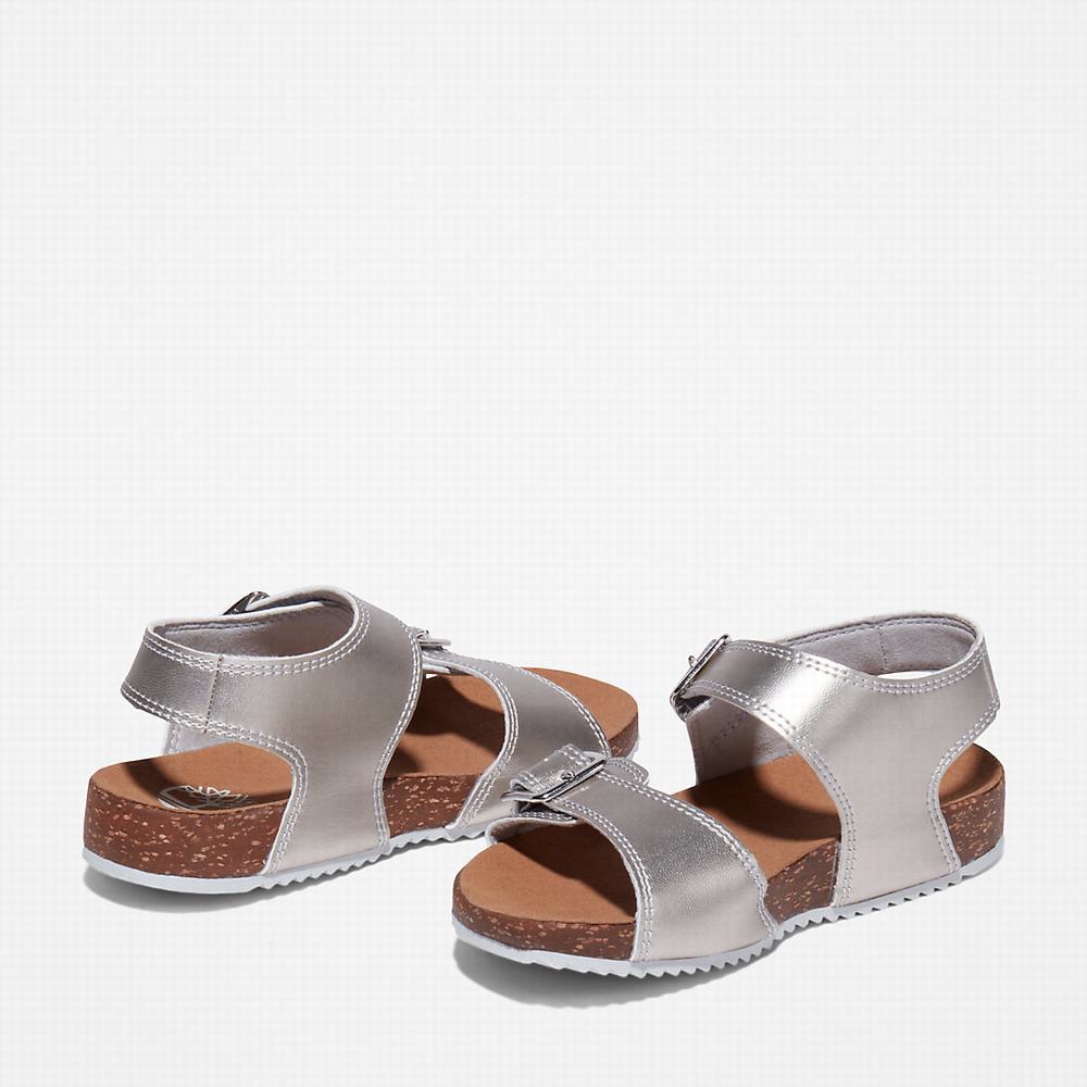 Dětské Sandály Timberland Castle Island Backstrap Stříbrné | TI83679-762