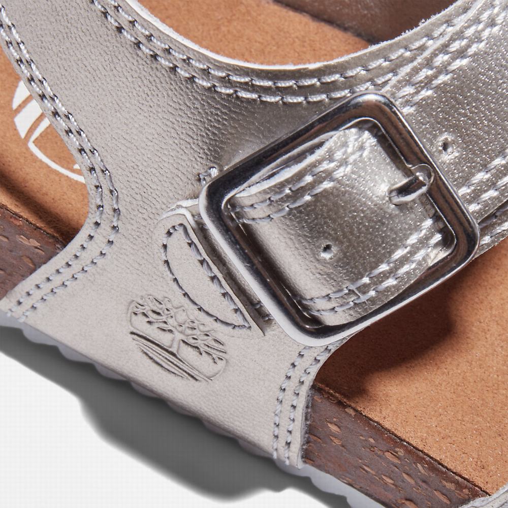Dětské Sandály Timberland Castle Island Backstrap Stříbrné | TI83679-762