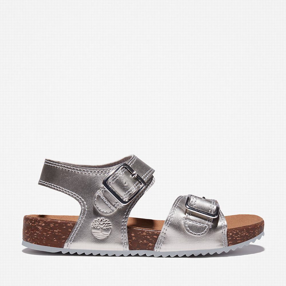 Dětské Sandály Timberland Castle Island Backstrap Stříbrné | TI83679-762