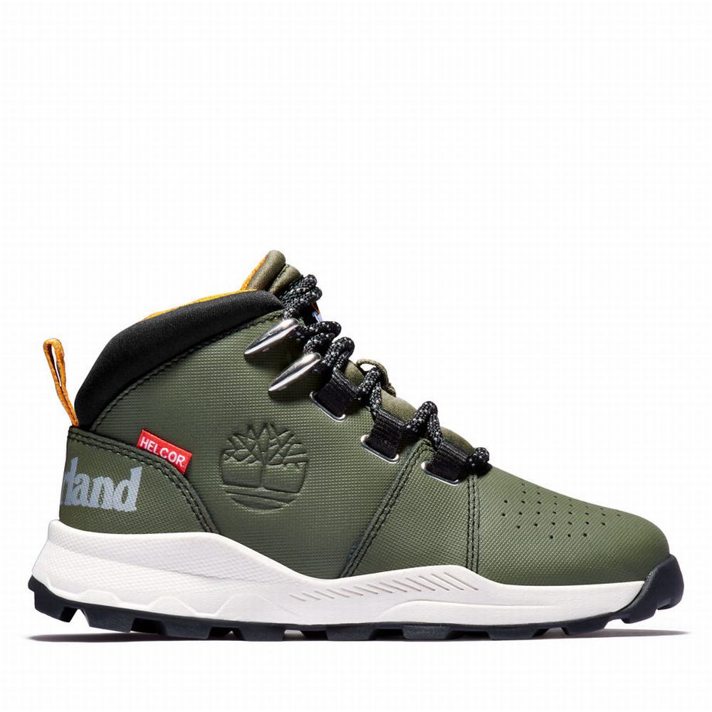 Dětské Tenisky Timberland Brooklyn Lace-Up Zelene | TI17265-572