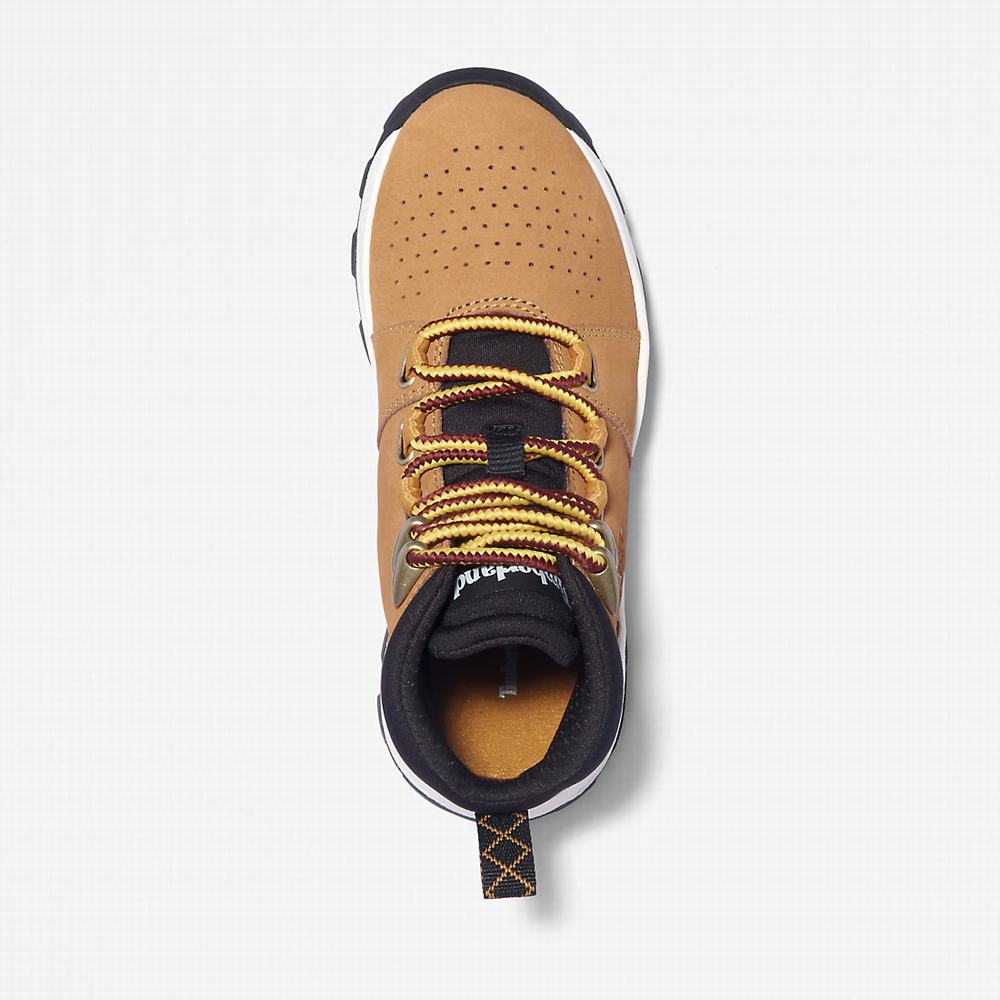 Dětské Tenisky Timberland Brooklyn Lace-Up Světle Hnědé | TI85406-139