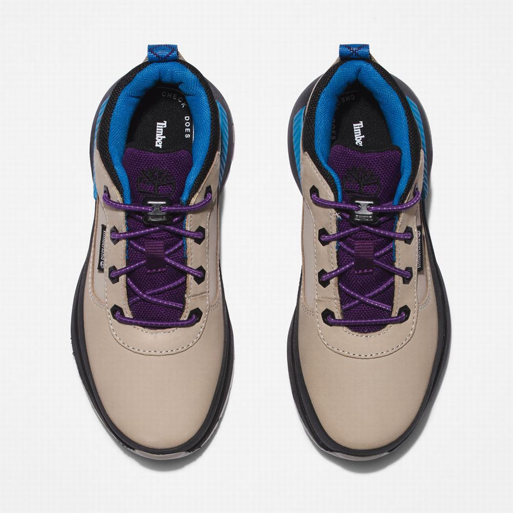 Dětské Tenisky Timberland Field Trekker Leather Šedé | TI14862-512