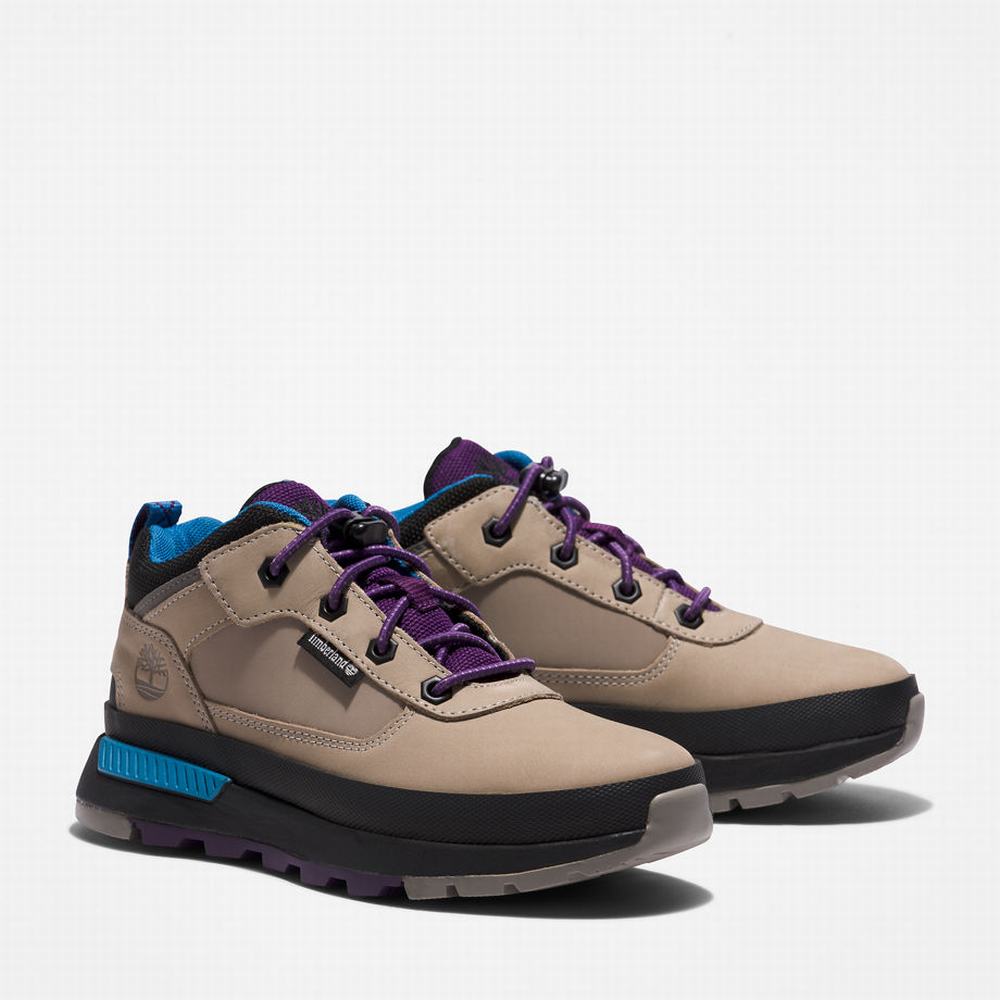 Dětské Tenisky Timberland Field Trekker Leather Šedé | TI14862-512