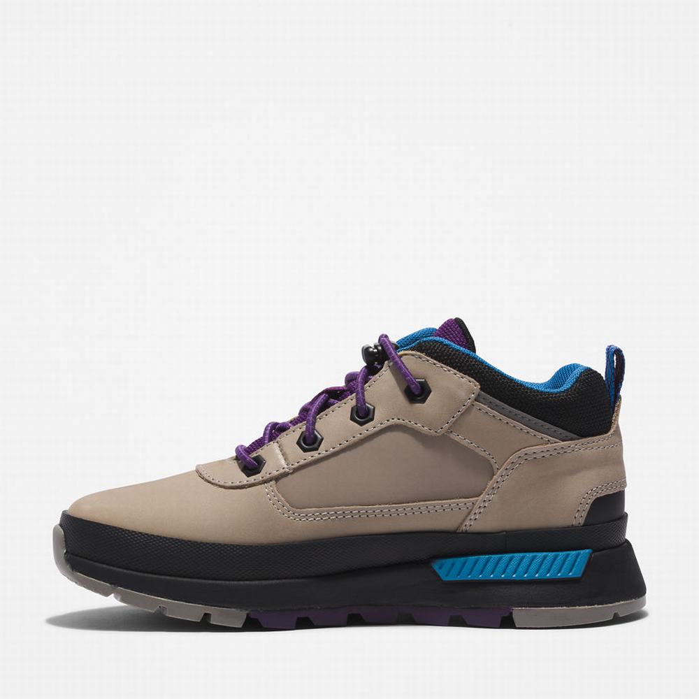 Dětské Tenisky Timberland Field Trekker Leather Šedé | TI14862-512
