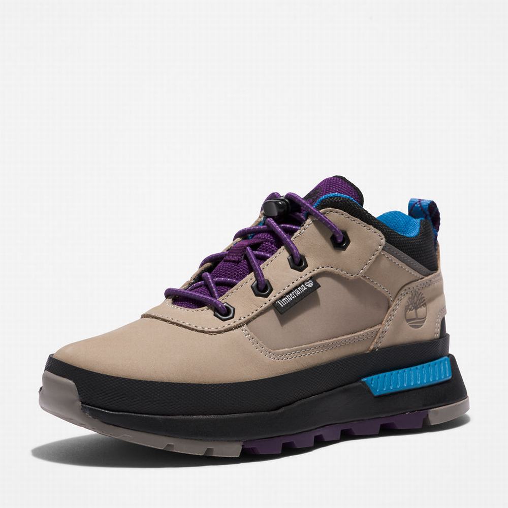 Dětské Tenisky Timberland Field Trekker Leather Šedé | TI14862-512