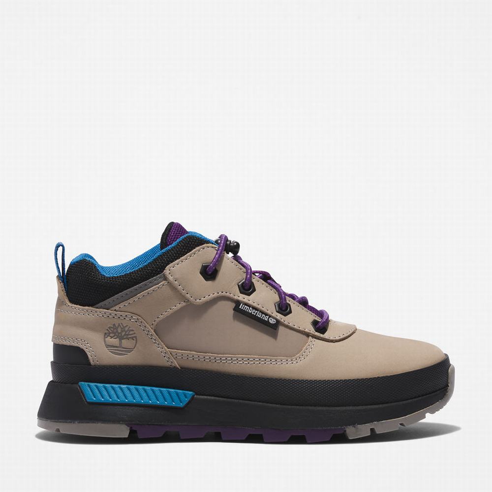 Dětské Tenisky Timberland Field Trekker Leather Šedé | TI14862-512
