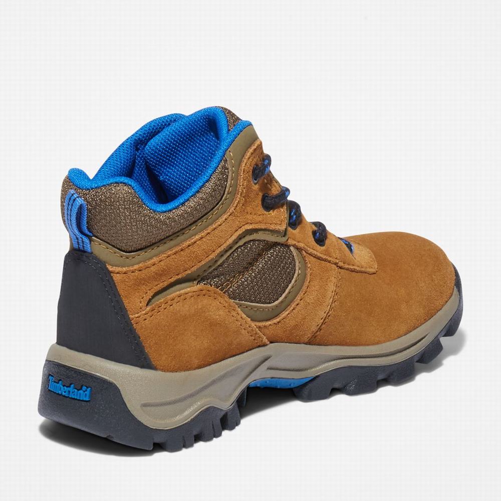 Dětské Trekové Boty Timberland Mt. Maddsen Waterproof Hnědé | TI89623-945