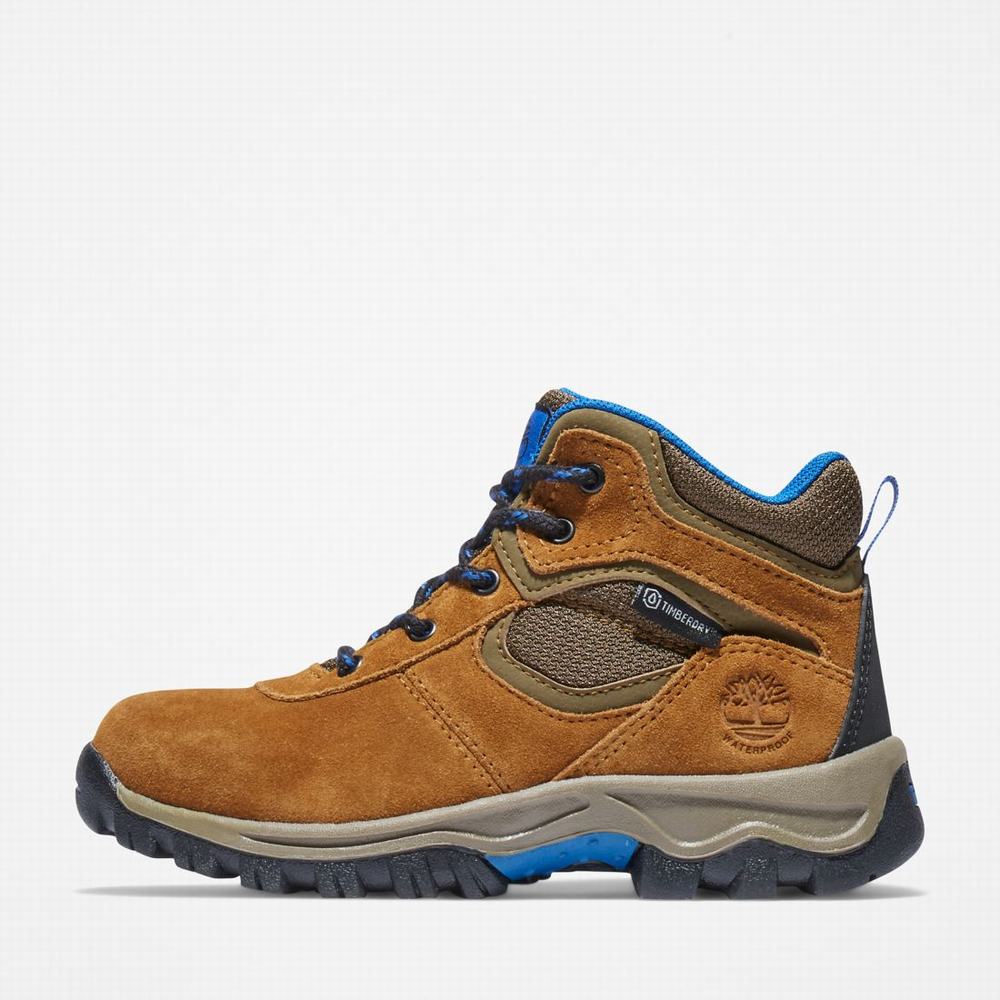 Dětské Trekové Boty Timberland Mt. Maddsen Waterproof Hnědé | TI89623-945
