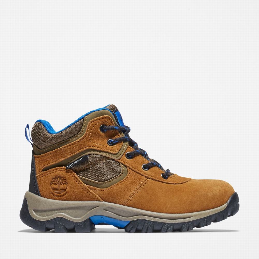Dětské Trekové Boty Timberland Mt. Maddsen Waterproof Hnědé | TI89623-945