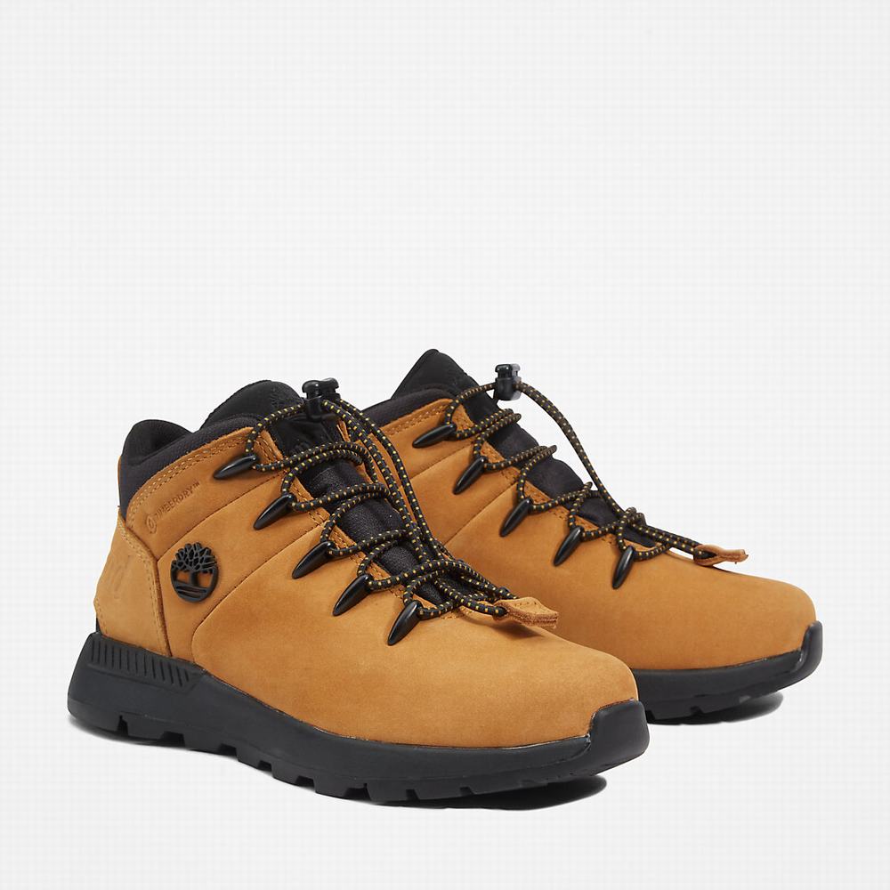 Dětské Trekové Boty Timberland Sprint Trekker Mid Žluté | TI58132-978