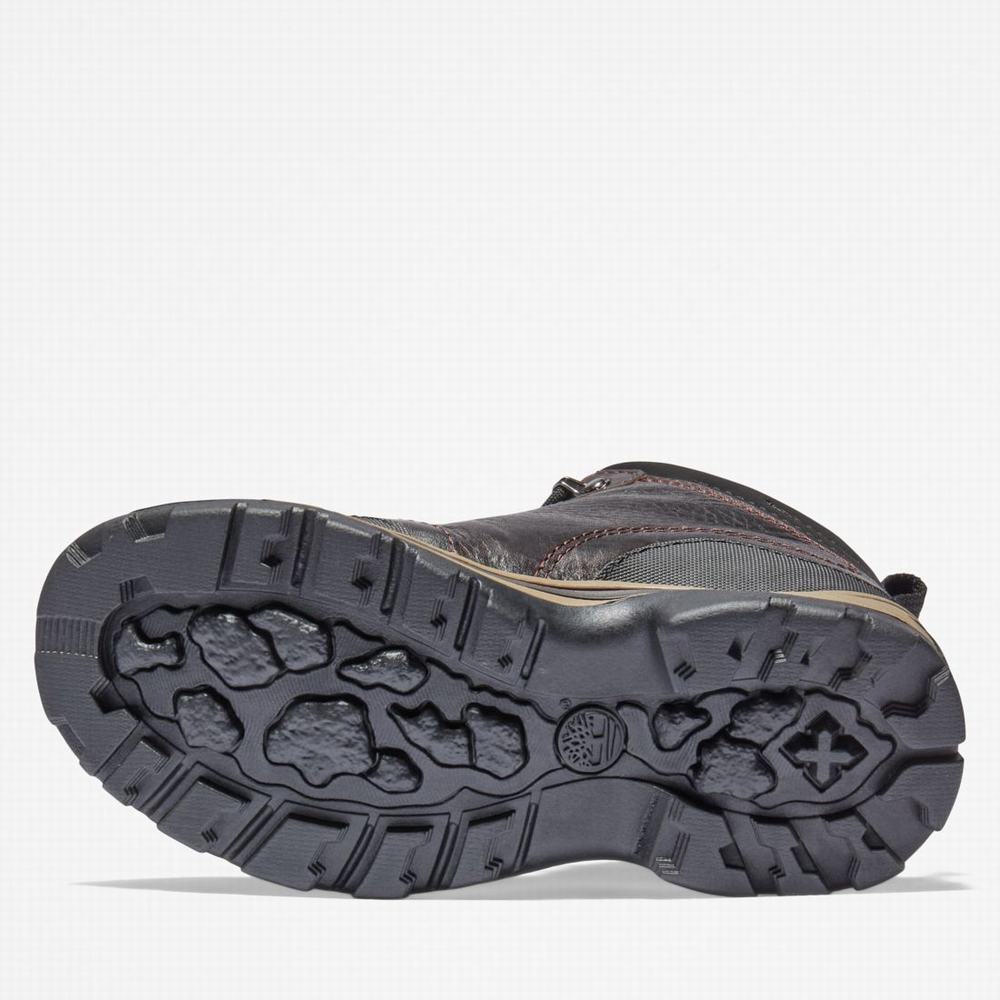 Dětské Trekové Boty Timberland Waterproof Hnědé | TI16403-245