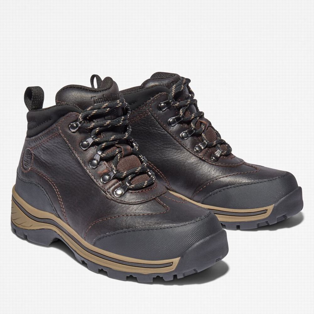 Dětské Trekové Boty Timberland Waterproof Hnědé | TI16403-245