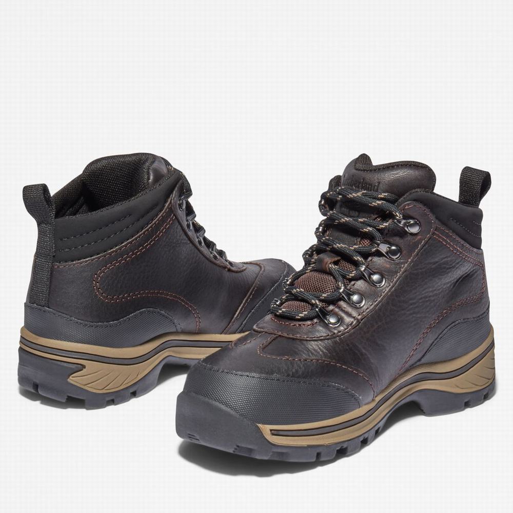 Dětské Trekové Boty Timberland Waterproof Hnědé | TI16403-245