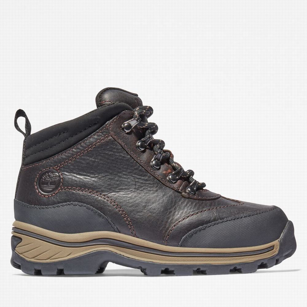 Dětské Trekové Boty Timberland Waterproof Hnědé | TI16403-245