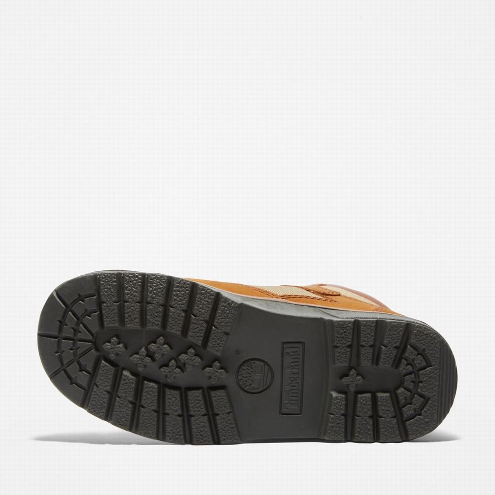 Dětské Zimní Boty Timberland 6-Inch Field Hnědé | TI37569-479