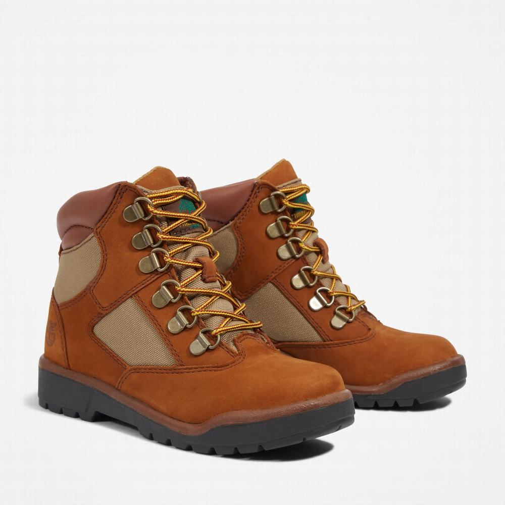 Dětské Zimní Boty Timberland 6-Inch Field Hnědé | TI37569-479