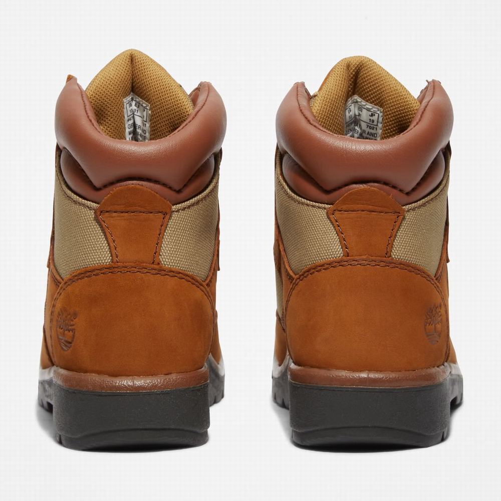 Dětské Zimní Boty Timberland 6-Inch Field Hnědé | TI37569-479