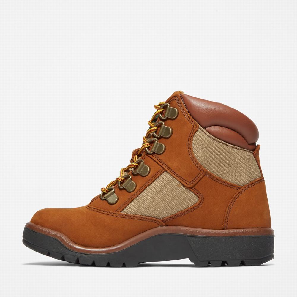 Dětské Zimní Boty Timberland 6-Inch Field Hnědé | TI37569-479