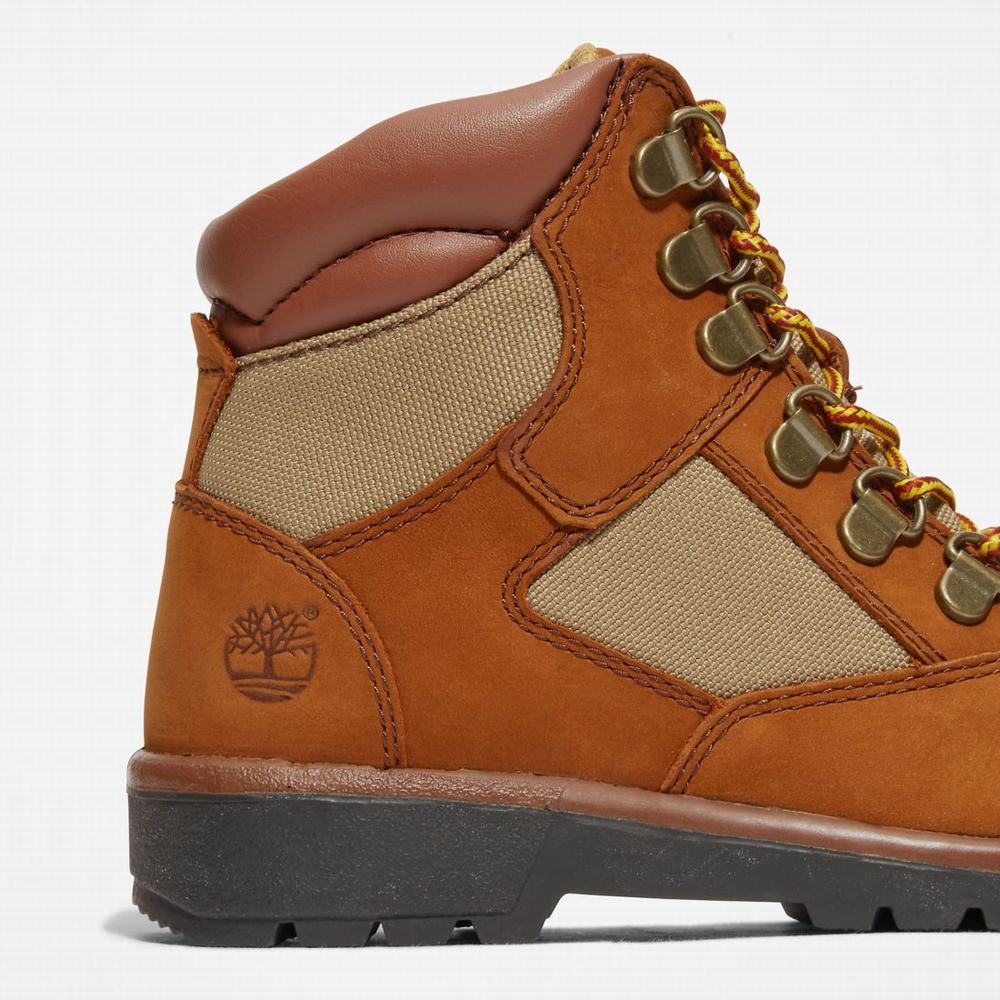 Dětské Zimní Boty Timberland 6-Inch Field Hnědé | TI37569-479