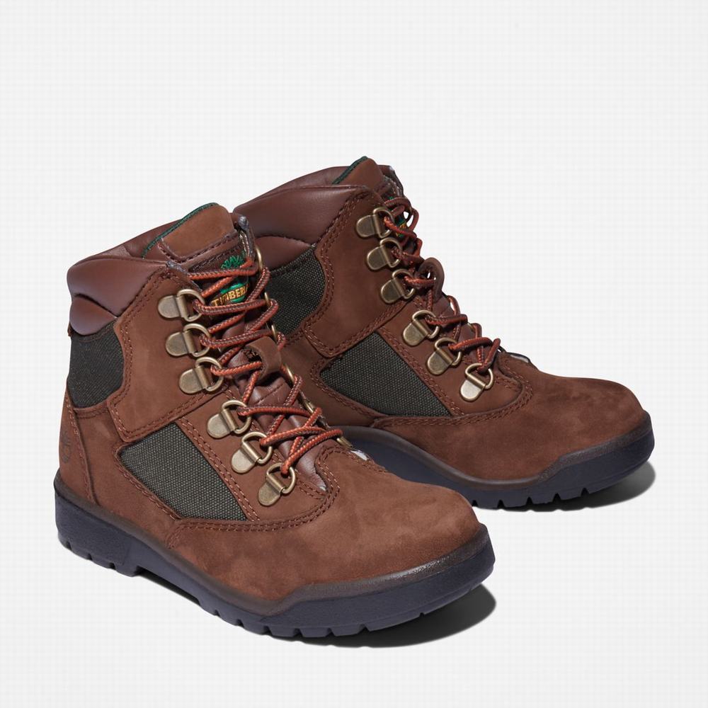 Dětské Zimní Boty Timberland 6-Inch Field Tmavě Hnědé | TI45261-190