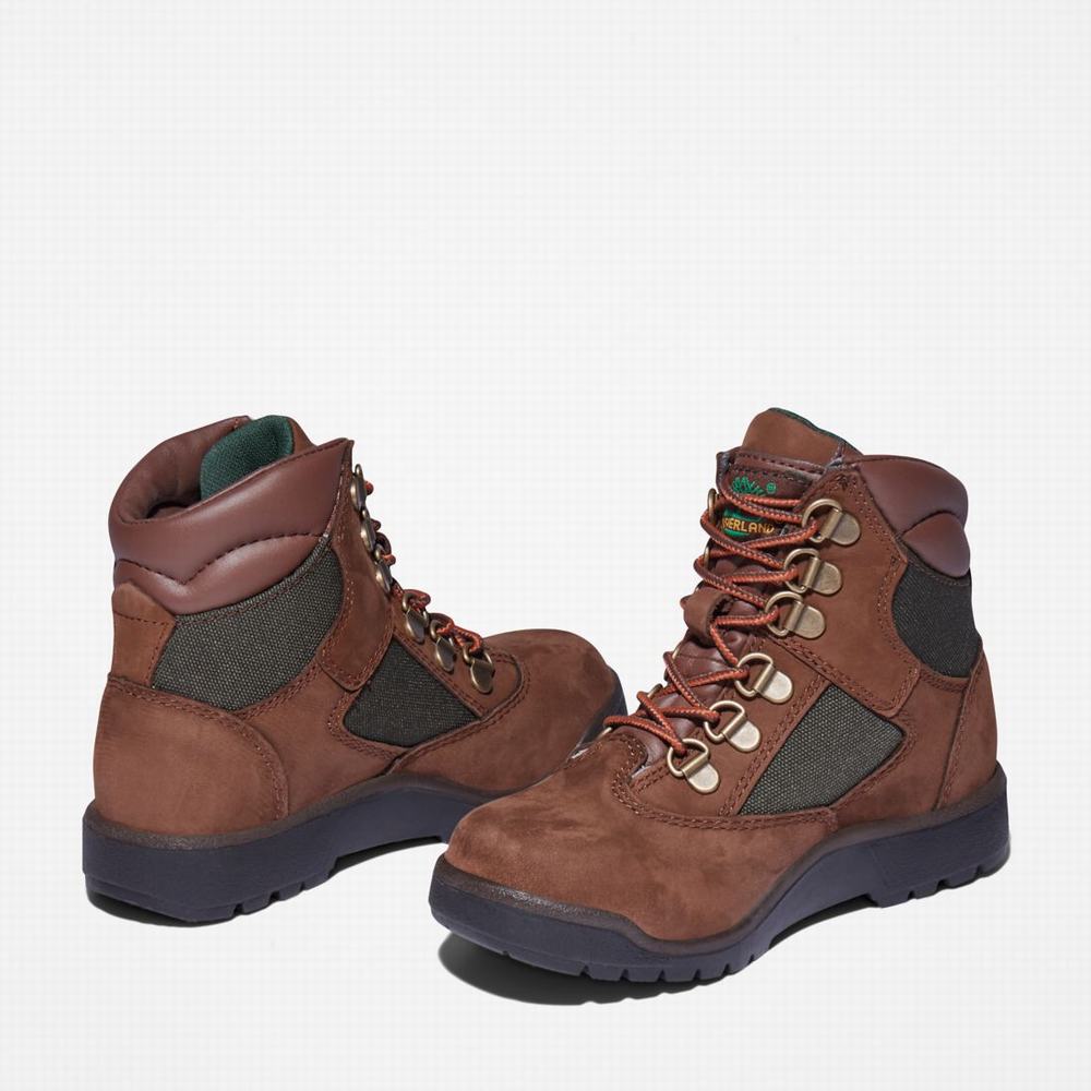 Dětské Zimní Boty Timberland 6-Inch Field Tmavě Hnědé | TI45261-190