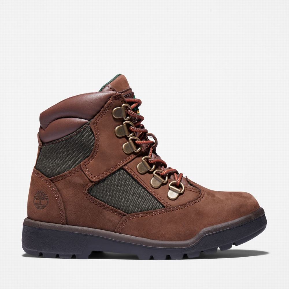 Dětské Zimní Boty Timberland 6-Inch Field Tmavě Hnědé | TI45261-190