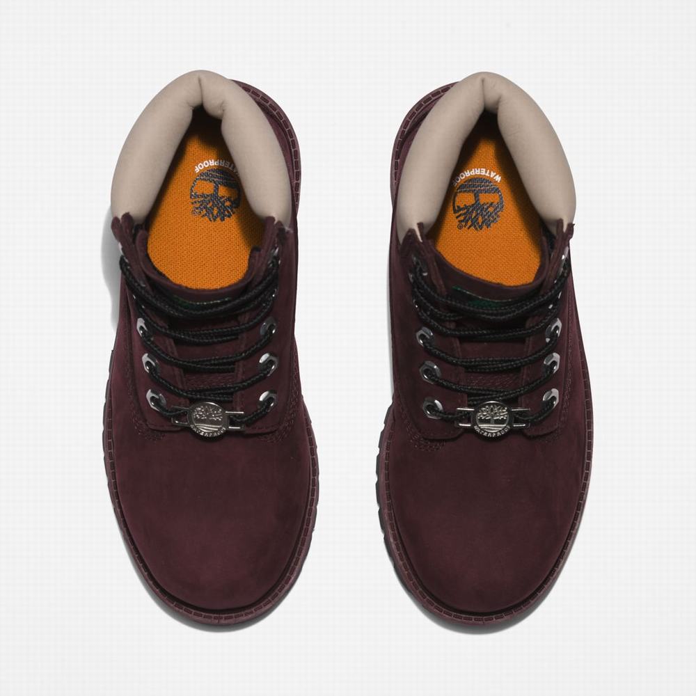 Dětské Zimní Boty Timberland Premium 6-Inch Waterproof Vínové | TI07392-095