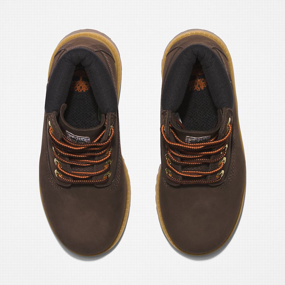 Dětské Zimní Boty Timberland Premium 6 Inch Tmavě Hnědé | TI42531-640