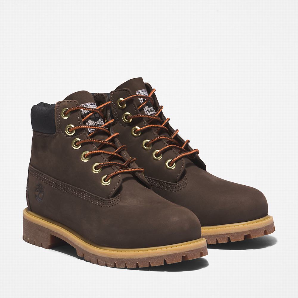 Dětské Zimní Boty Timberland Premium 6 Inch Tmavě Hnědé | TI42531-640