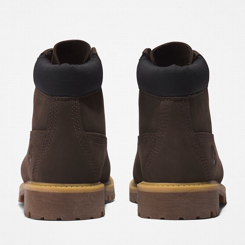 Dětské Zimní Boty Timberland Premium 6 Inch Tmavě Hnědé | TI42531-640