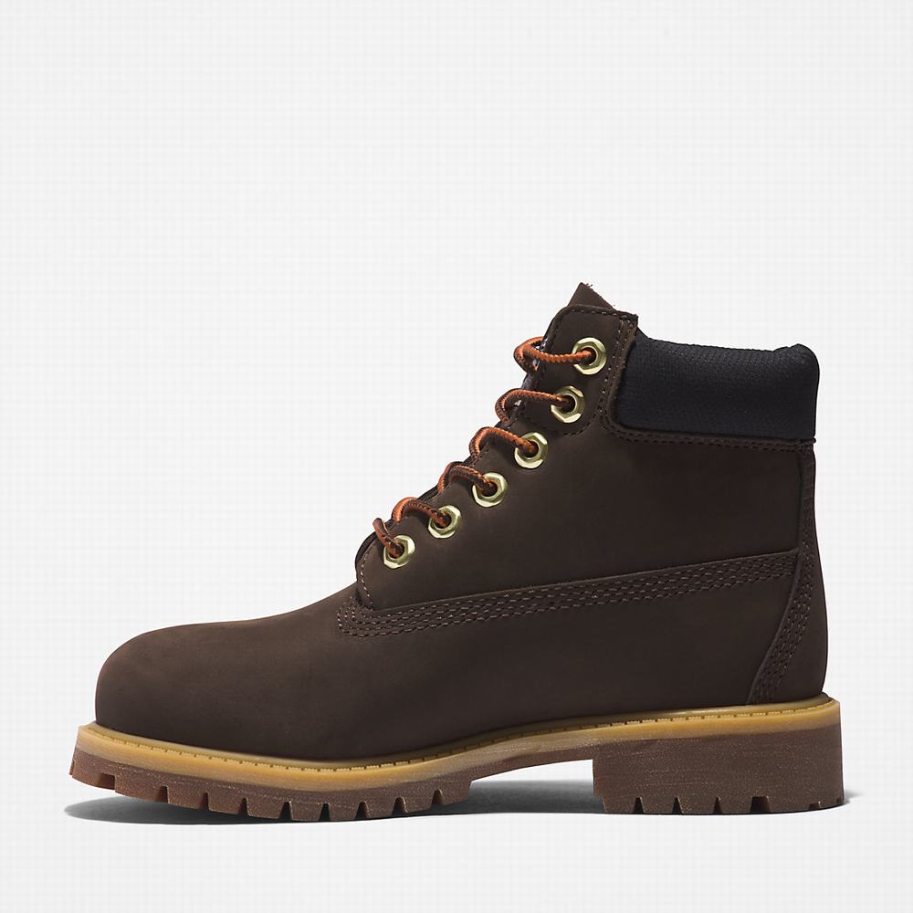 Dětské Zimní Boty Timberland Premium 6 Inch Tmavě Hnědé | TI42531-640