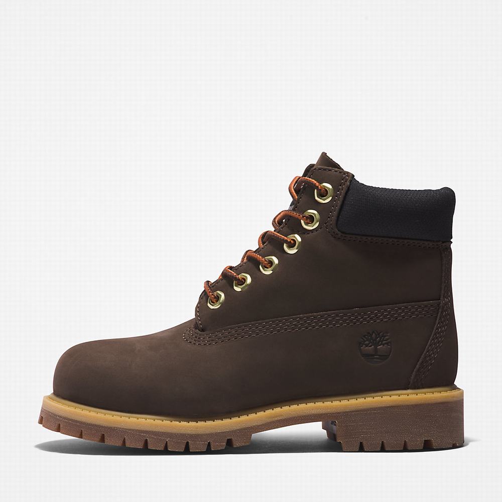 Dětské Zimní Boty Timberland Premium 6 Inch Tmavě Hnědé | TI42531-640