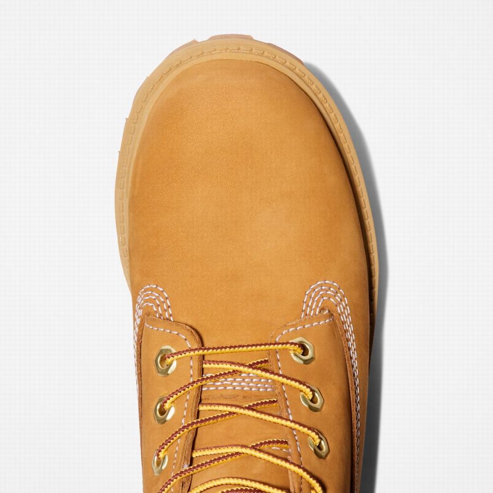 Dětské Zimní Boty Timberland Premium 6-Inch Waterproof Hnědé Žluté | TI54836-542