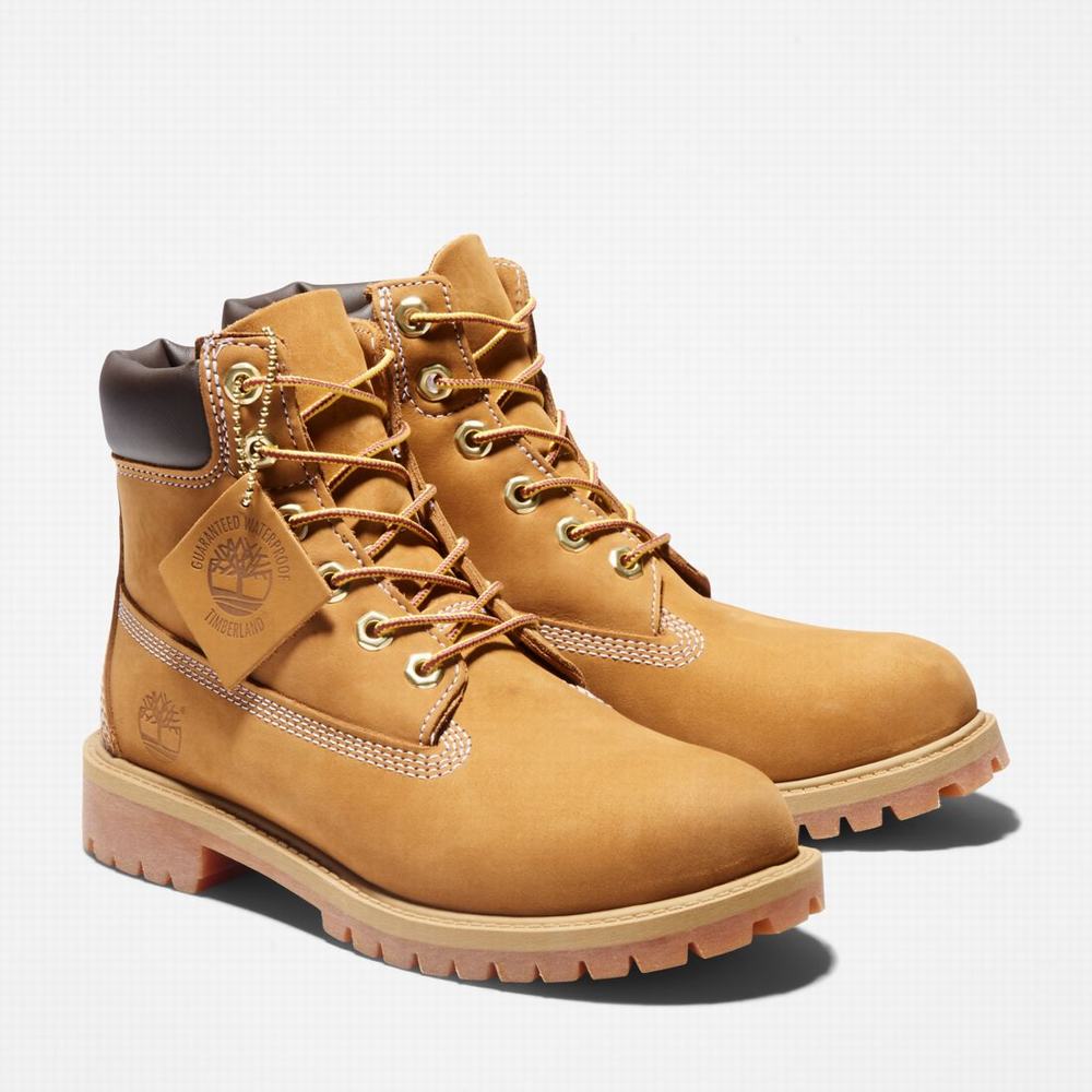 Dětské Zimní Boty Timberland Premium 6-Inch Waterproof Hnědé Žluté | TI54836-542
