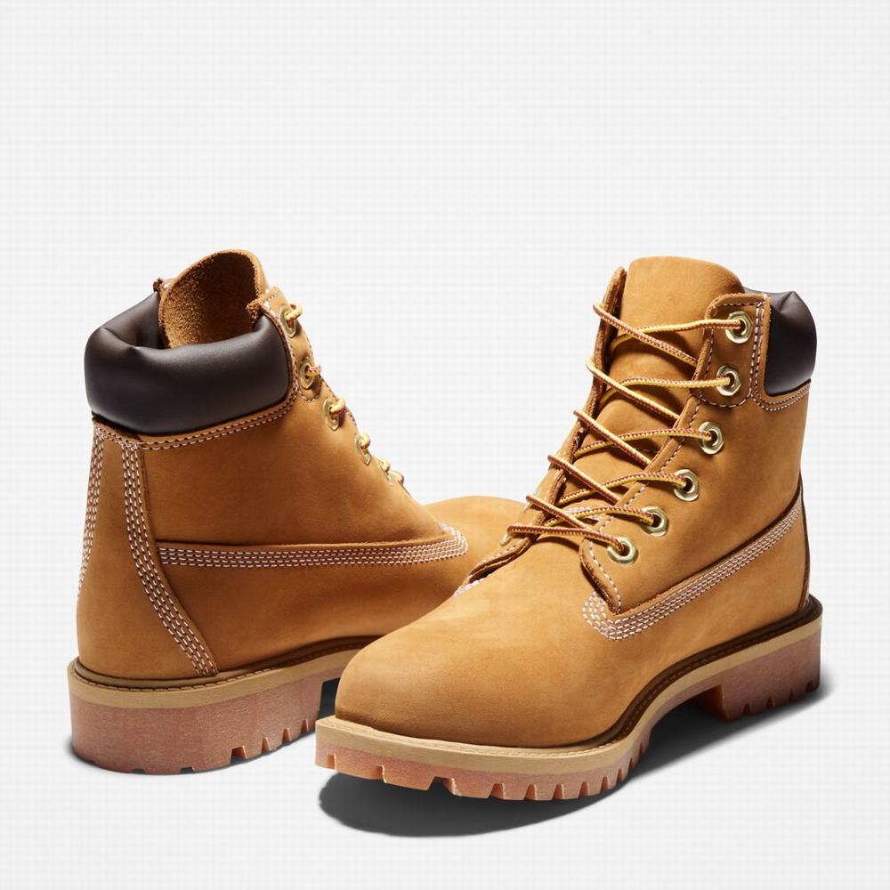 Dětské Zimní Boty Timberland Premium 6-Inch Waterproof Hnědé Žluté | TI54836-542