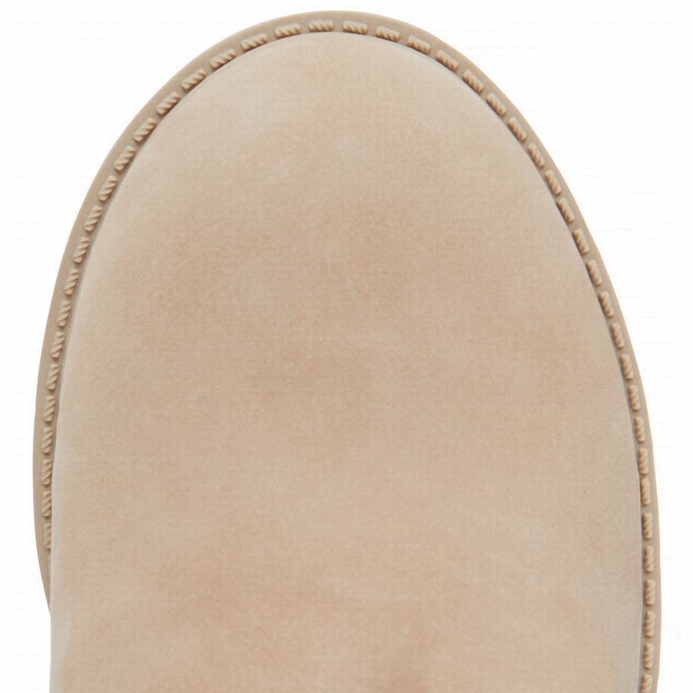Dětské Zimní Boty Timberland Premium 6 Inch Světle Hnědé | TI78103-197