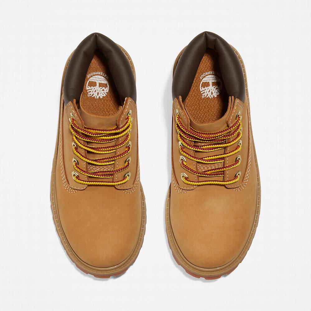 Dětské Zimní Boty Timberland Premium 6 Inch Žluté | TI94068-184
