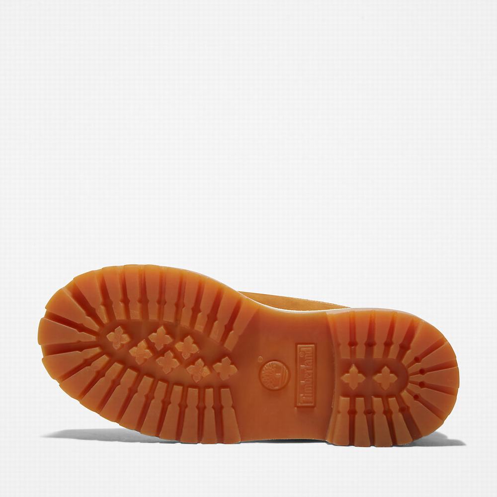 Dětské Zimní Boty Timberland Premium 6 Inch Hnědé | TI94736-795
